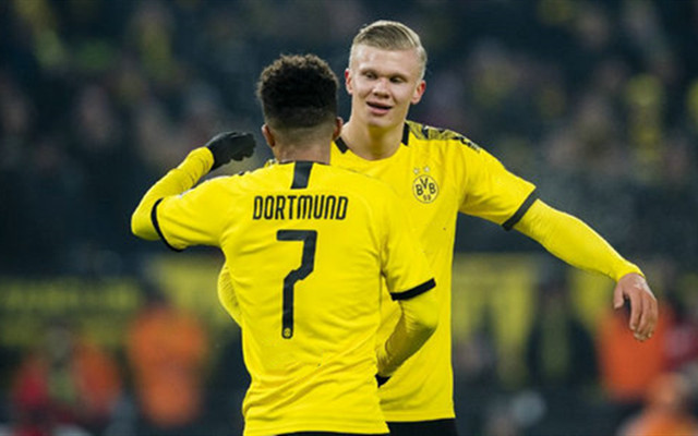  多特蒙德青春风暴席卷德甲赛场  